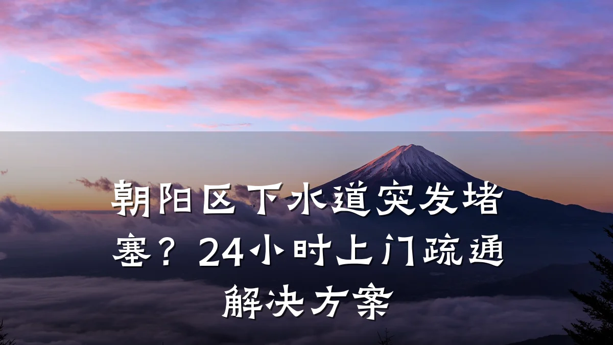 朝阳区下水道突发堵塞?24小时上门疏通解决方案