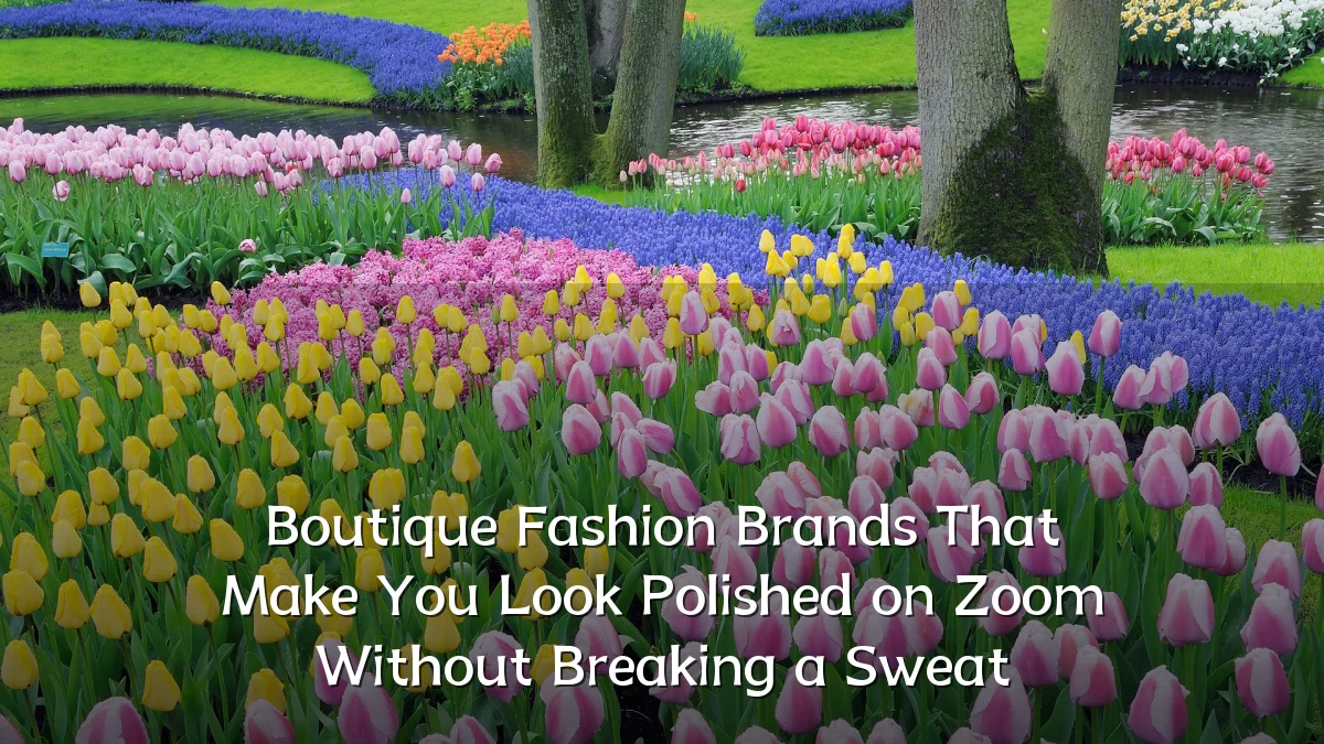 Boutique Fashion Brands That Make You Look Polished on Zoom Without Breaking a Sweat
