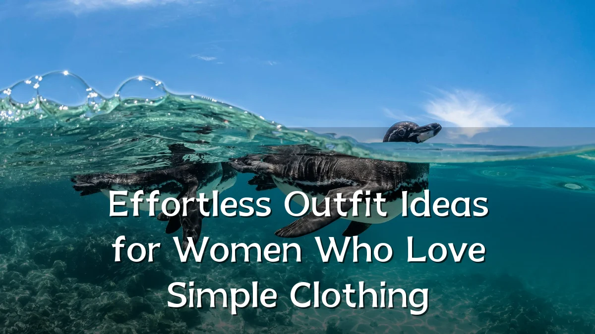 Effortless Outfit Ideas for Women Who Love Simple Clothing