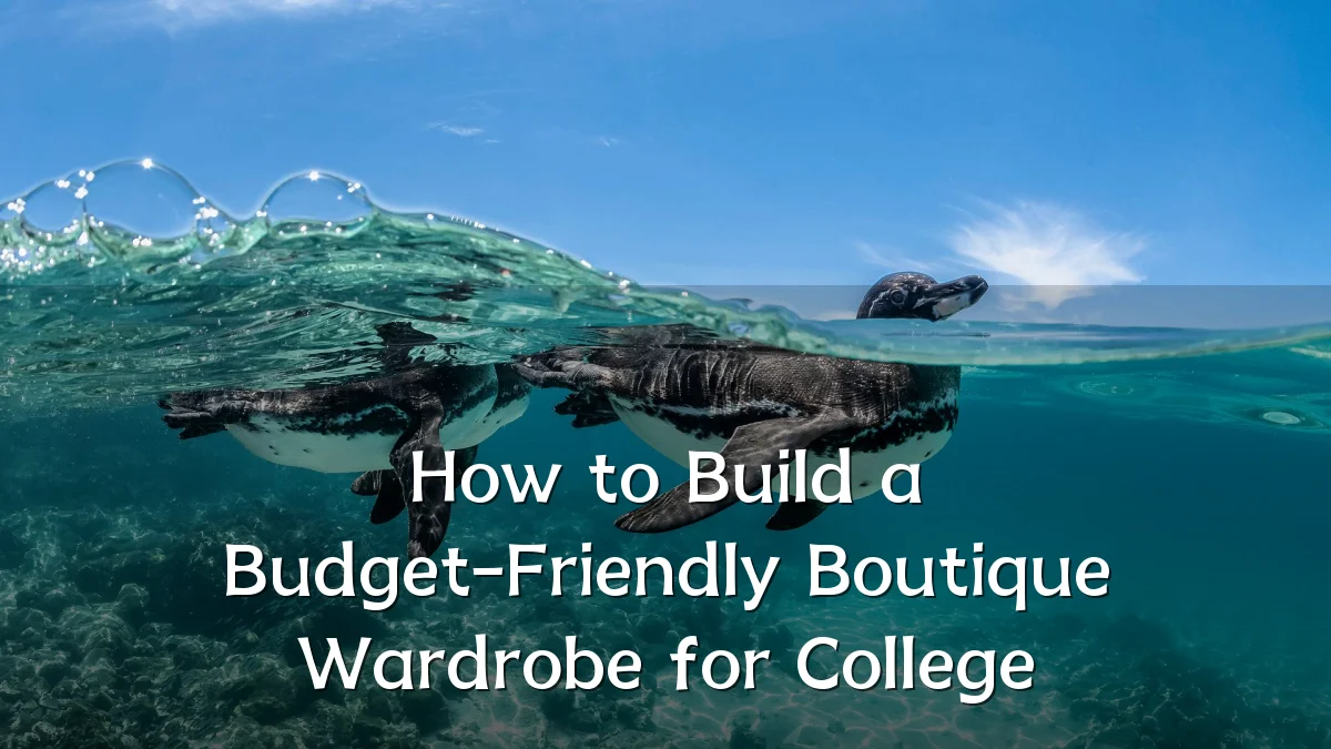 How to Build a Budget-Friendly Boutique Wardrobe for College