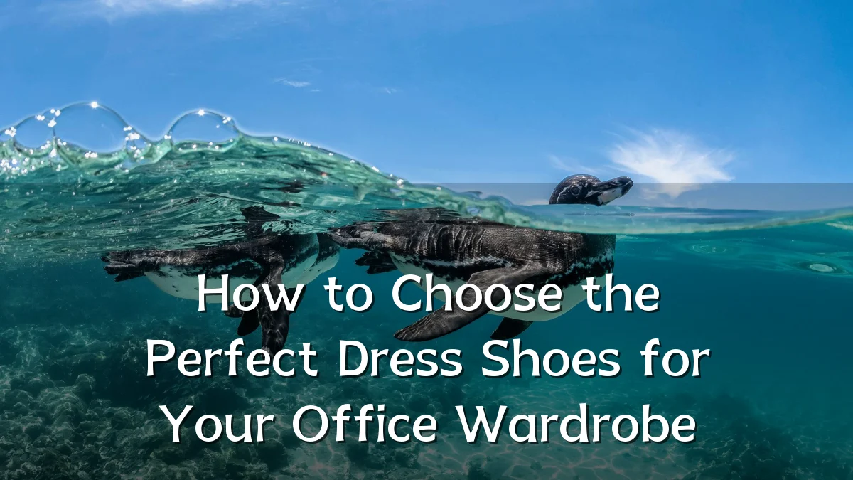 How to Choose the Perfect Dress Shoes for Your Office Wardrobe