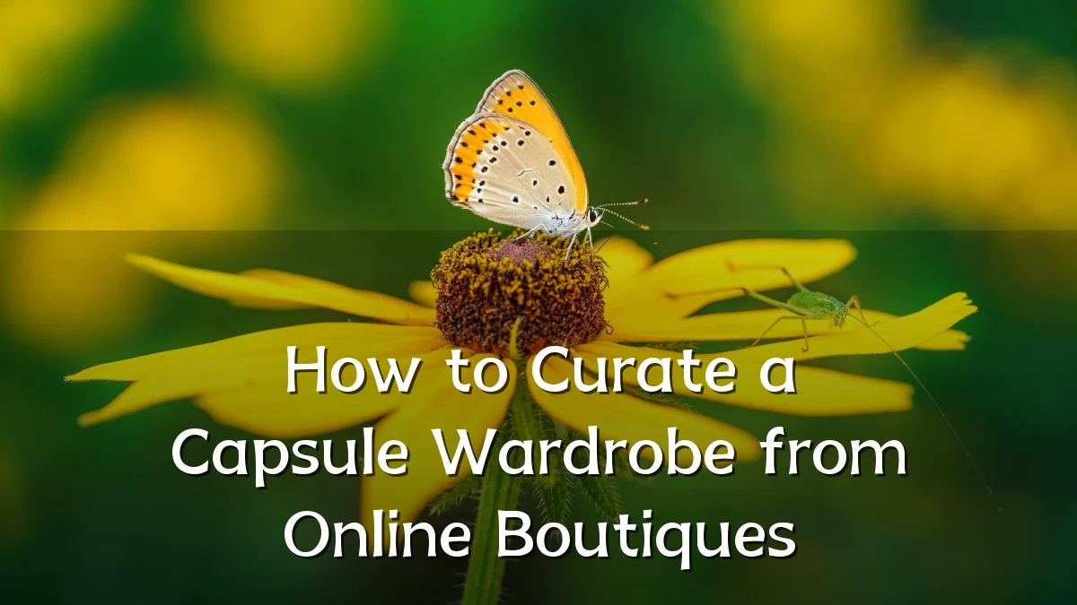 How to Curate a Capsule Wardrobe from Online Boutiques