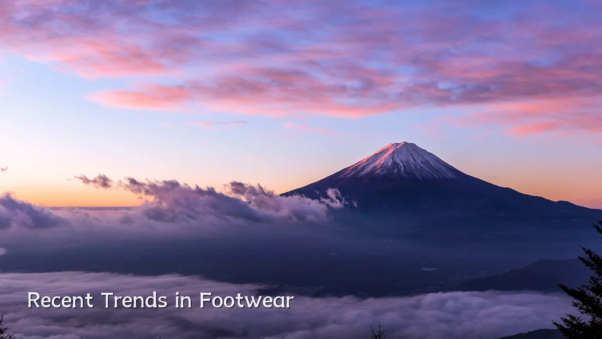 Recent Trends in Footwear