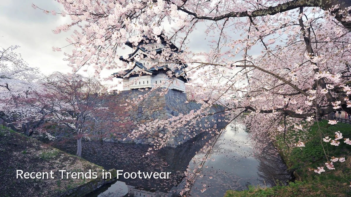 Recent Trends in Footwear