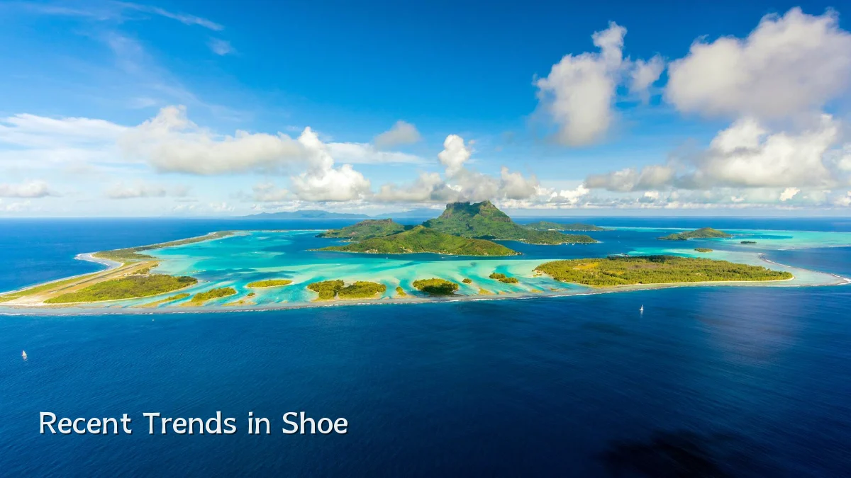 Recent Trends in Shoe