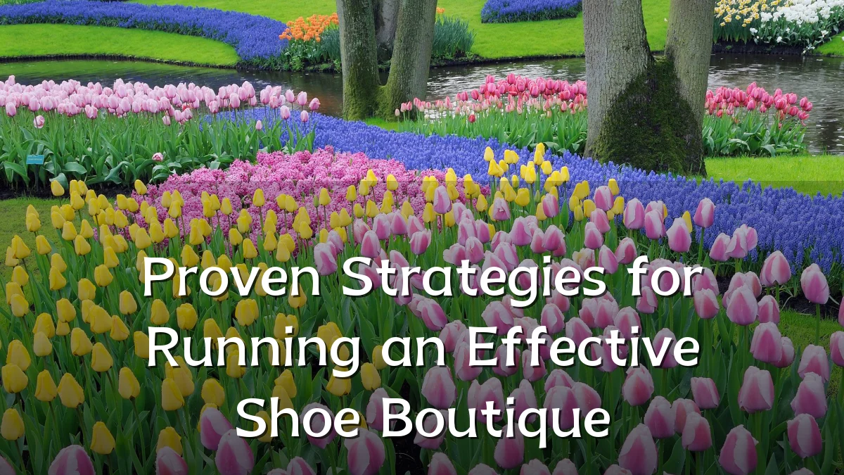 Proven Strategies for Running an Effective Shoe Boutique