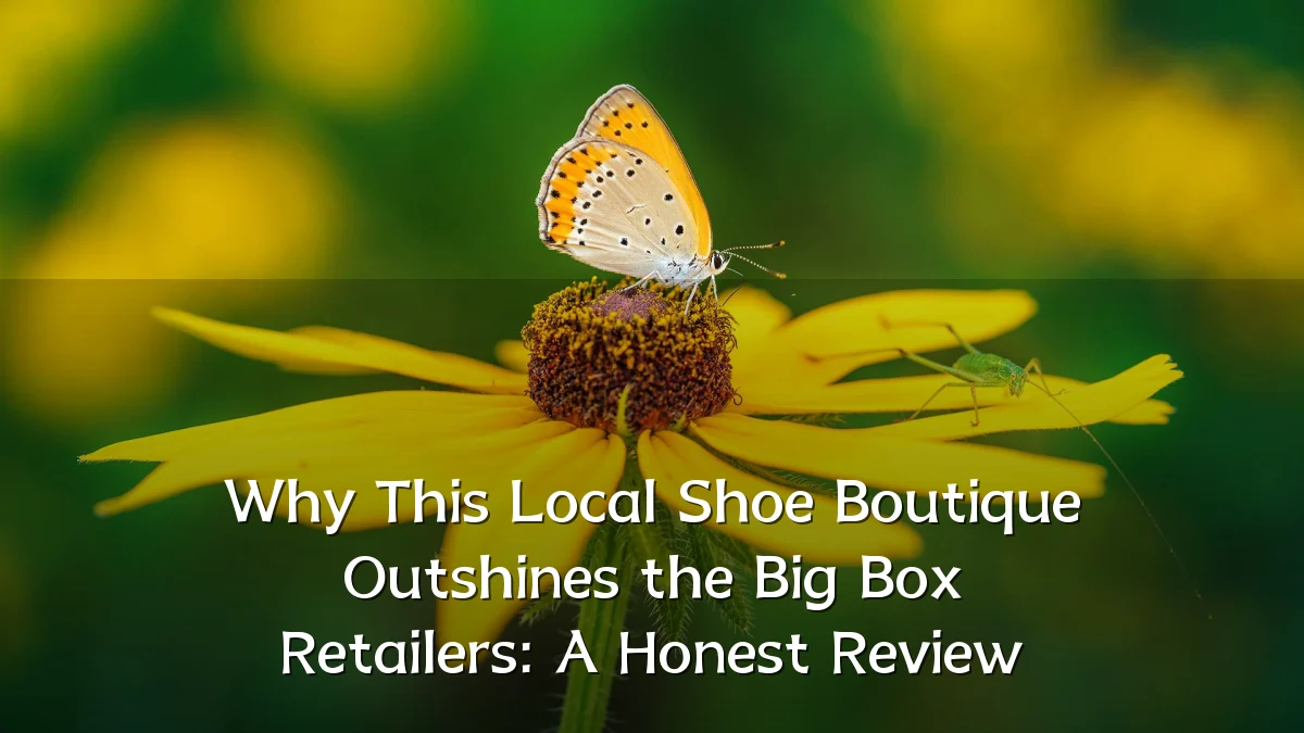Why This Local Shoe Boutique Outshines the Big Box Retailers: A Honest Review