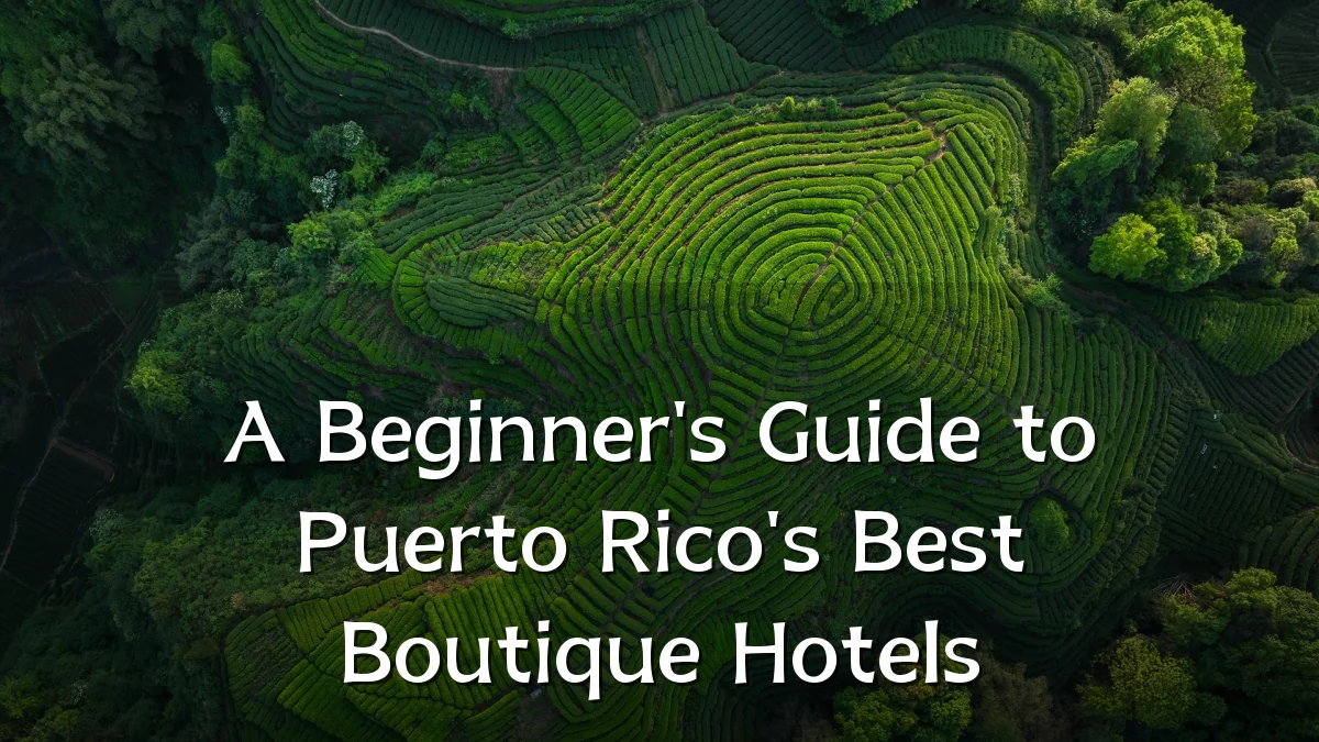 A Beginner's Guide to Puerto Rico's Best Boutique Hotels
