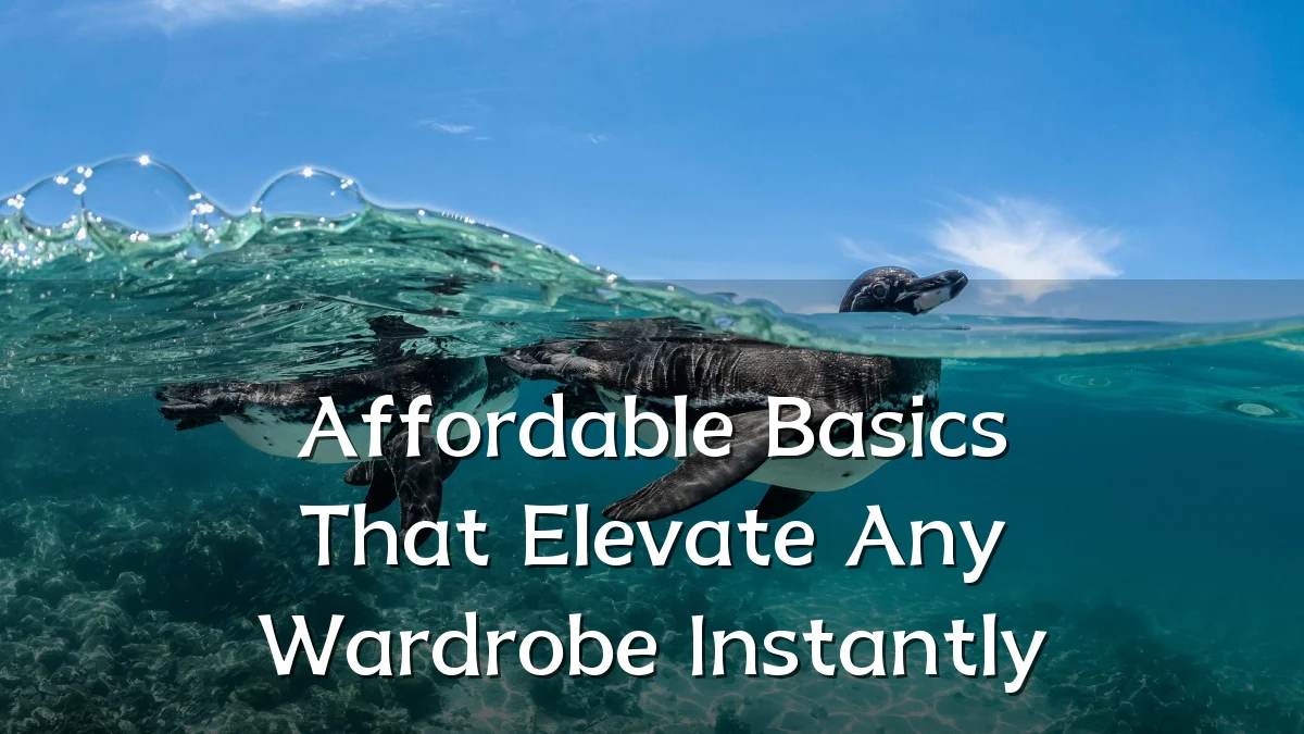 Affordable Basics That Elevate Any Wardrobe Instantly