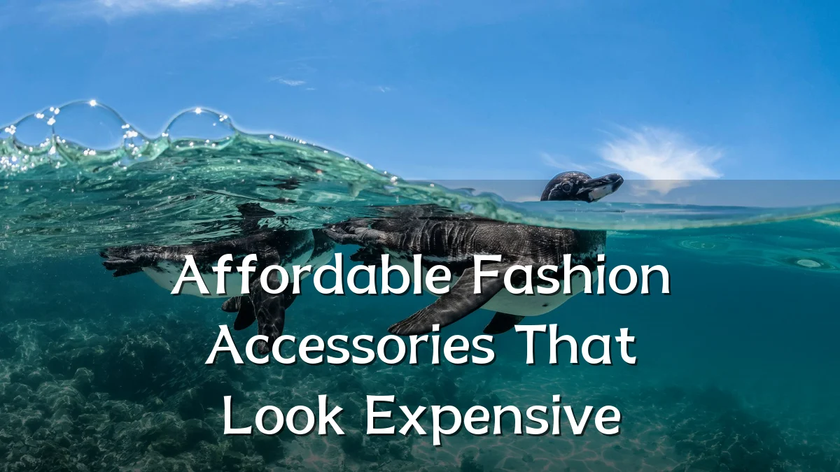 Affordable Fashion Accessories That Look Expensive