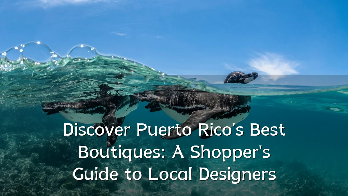 Discover Puerto Rico's Best Boutiques: A Shopper's Guide to Local Designers