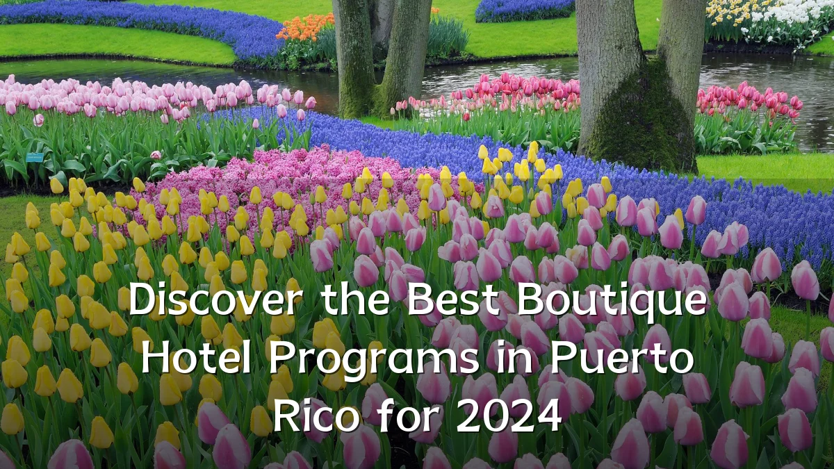 Discover the Best Boutique Hotel Programs in Puerto Rico for 2024