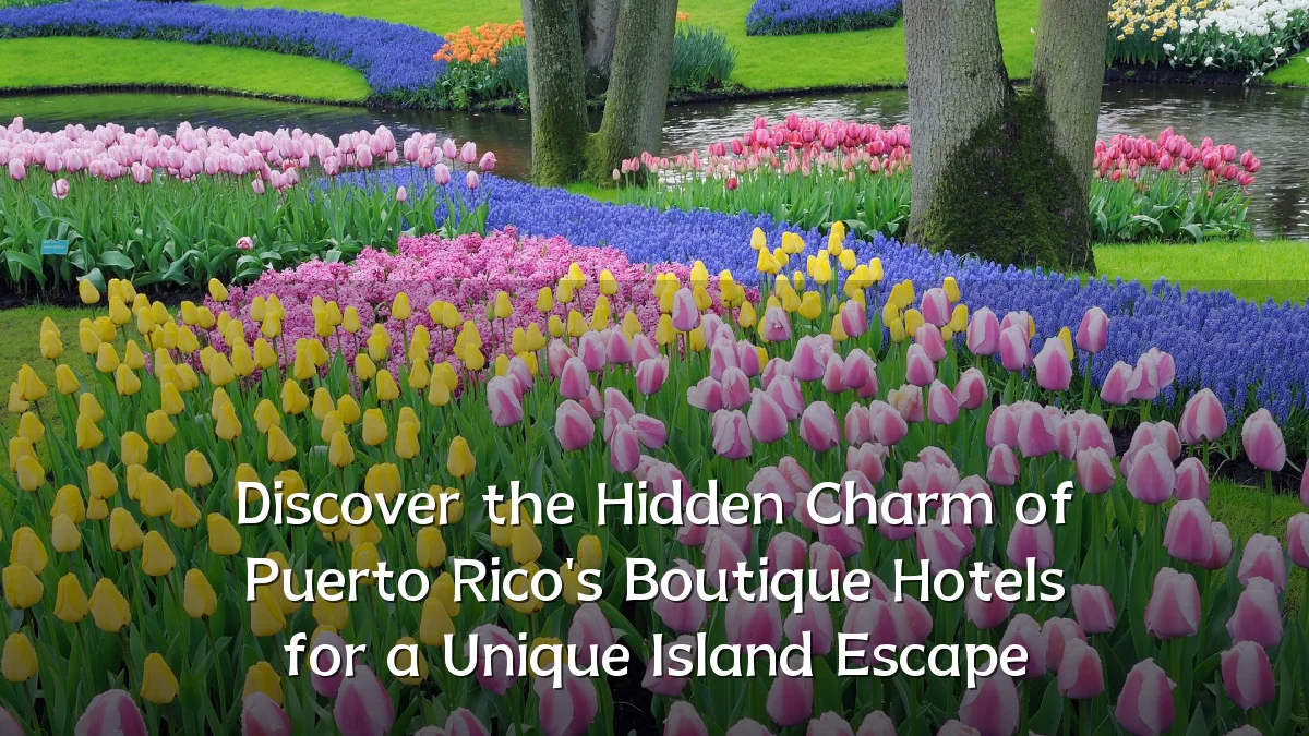 Discover the Hidden Charm of Puerto Rico's Boutique Hotels for a Unique Island Escape