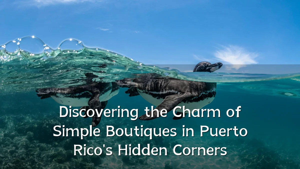 Discovering the Charm of Simple Boutiques in Puerto Rico's Hidden Corners