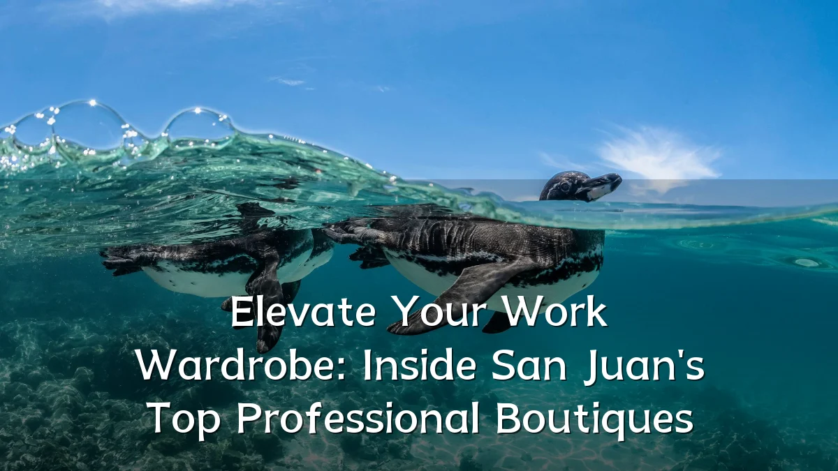 Elevate Your Work Wardrobe: Inside San Juan's Top Professional Boutiques