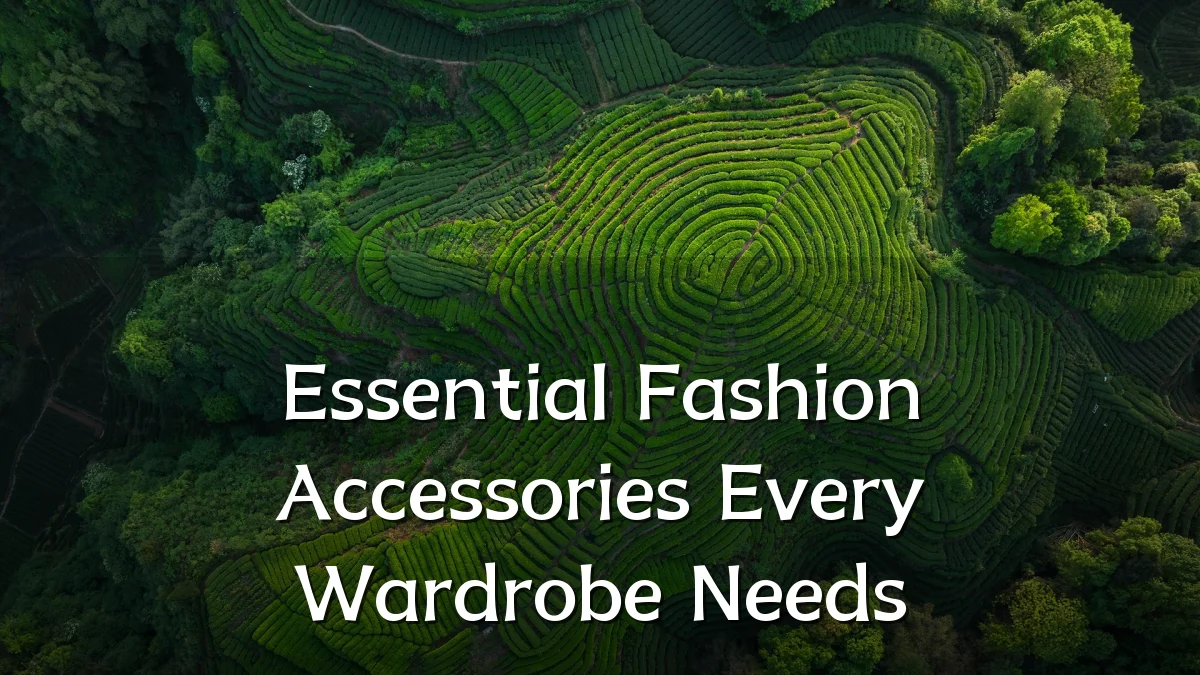 Essential Fashion Accessories Every Wardrobe Needs