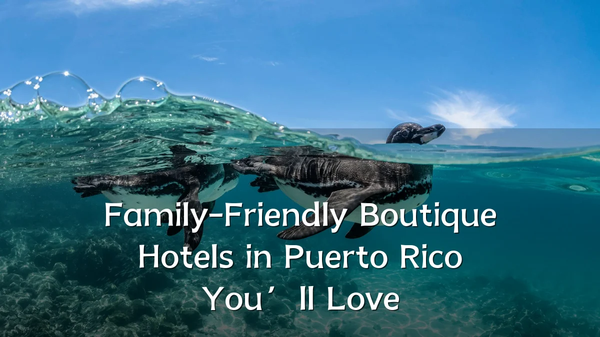 Family-Friendly Boutique Hotels in Puerto Rico You’ll Love
