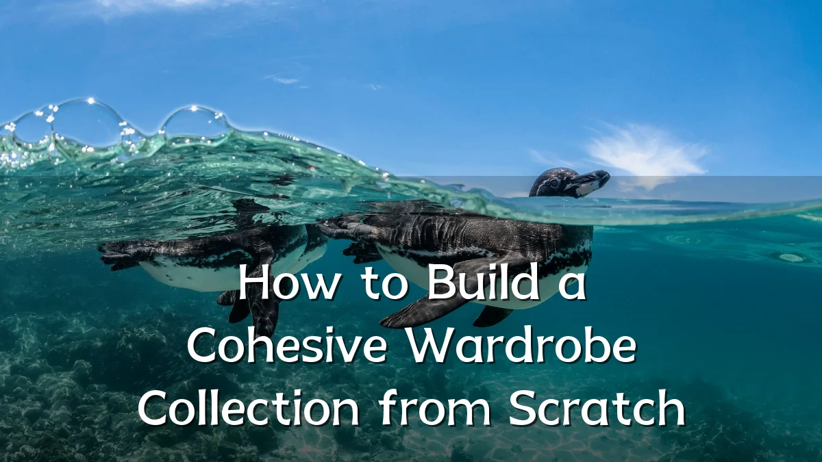 How to Build a Cohesive Wardrobe Collection from Scratch