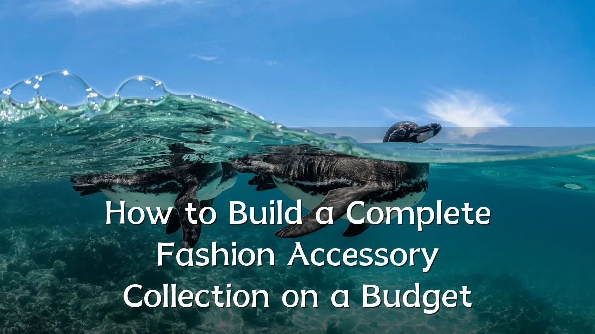 How to Build a Complete Fashion Accessory Collection on a Budget