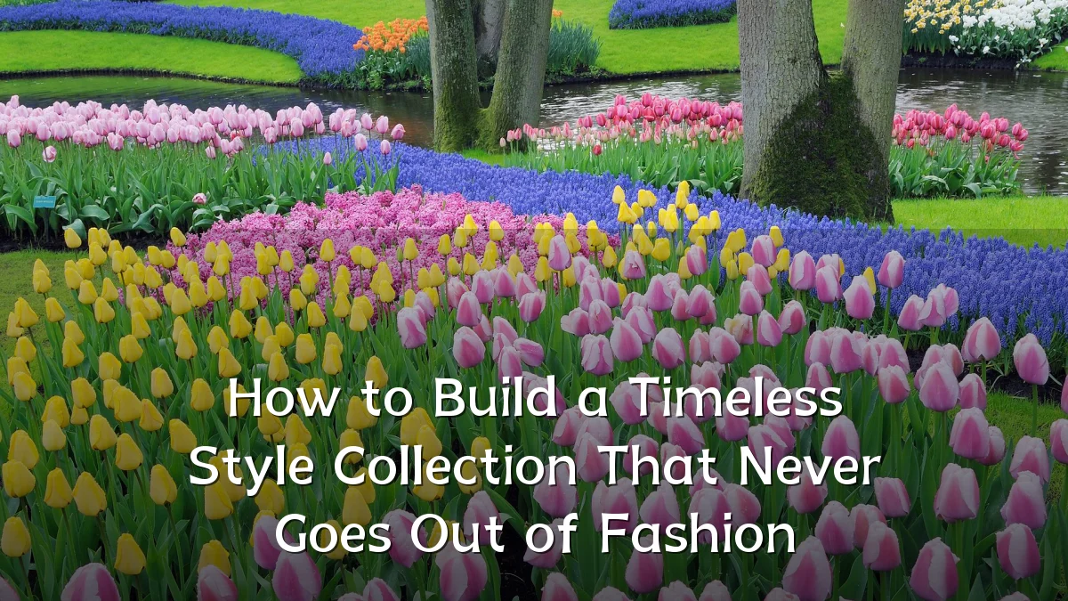 How to Build a Timeless Style Collection That Never Goes Out of Fashion