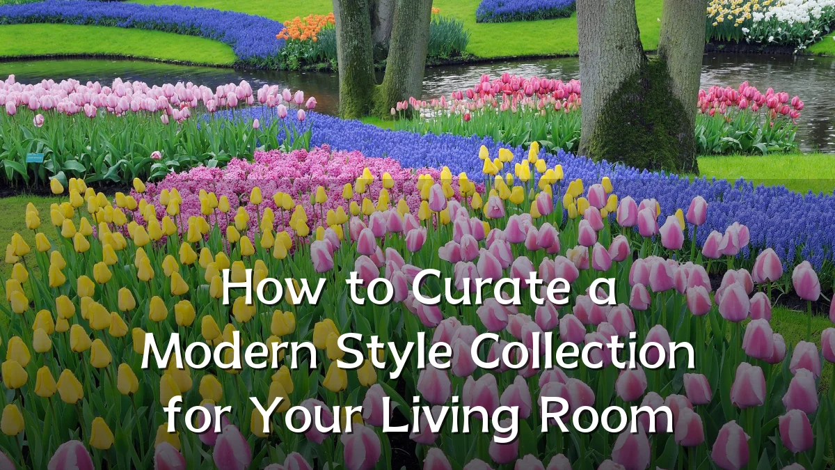 How to Curate a Modern Style Collection for Your Living Room