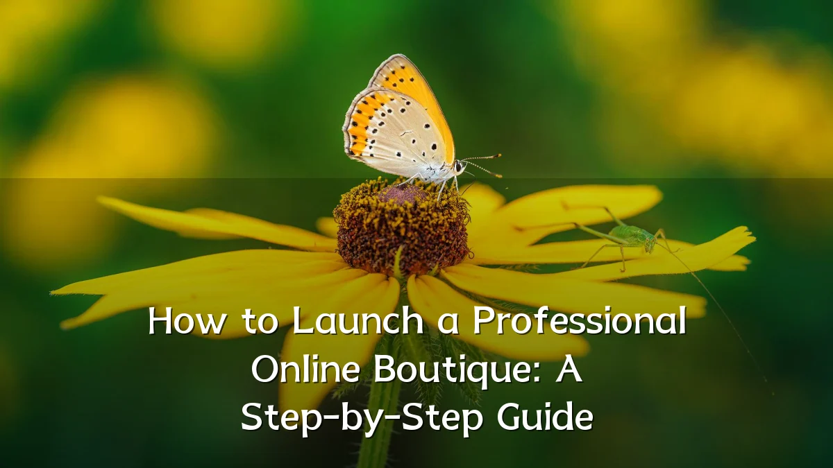 How to Launch a Professional Online Boutique: A Step-by-Step Guide