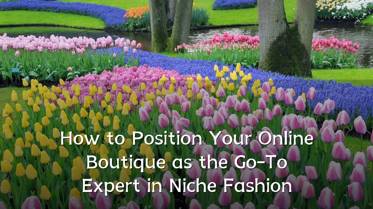How to Position Your Online Boutique as the Go-To Expert in Niche Fashion
