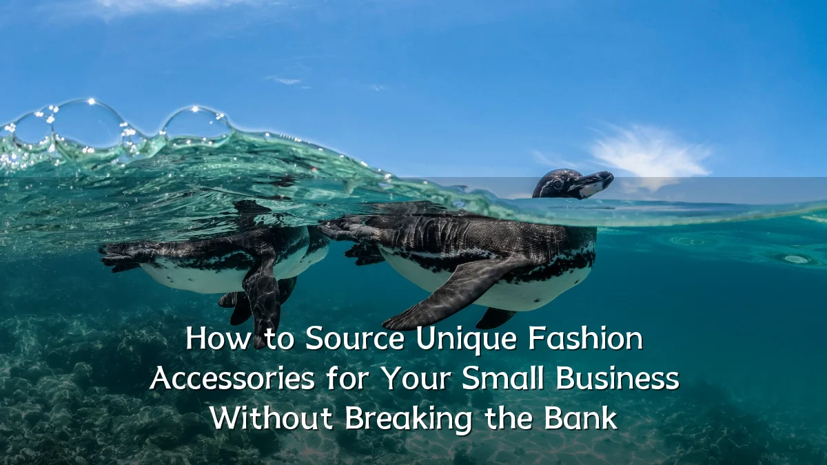 How to Source Unique Fashion Accessories for Your Small Business Without Breaking the Bank