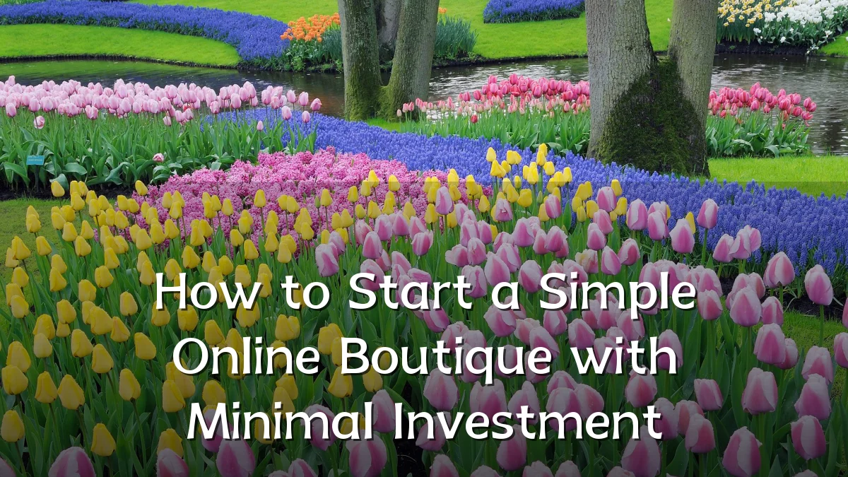 How to Start a Simple Online Boutique with Minimal Investment