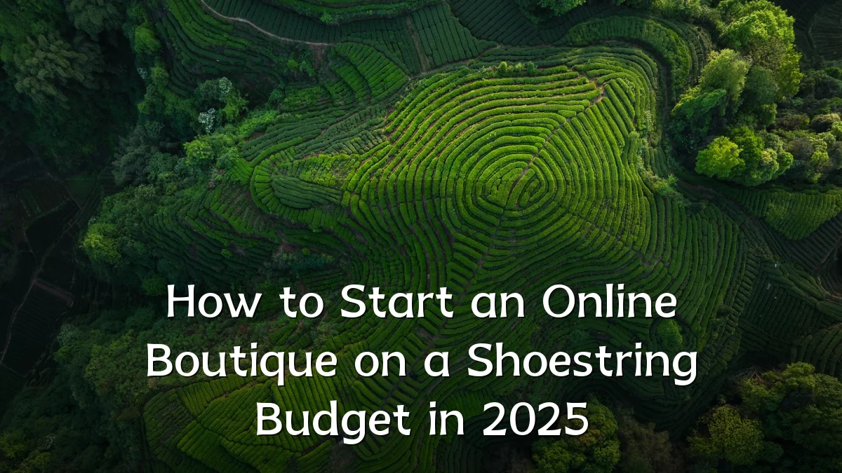 How to Start an Online Boutique on a Shoestring Budget in 2025