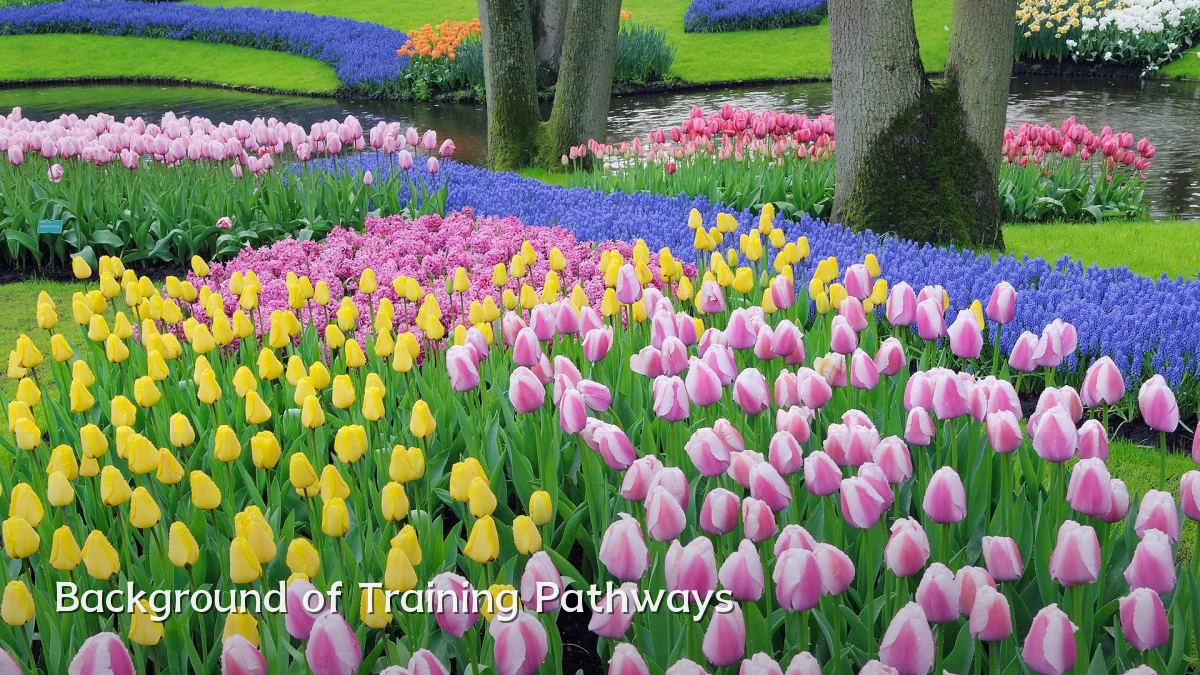 Background of Training Pathways