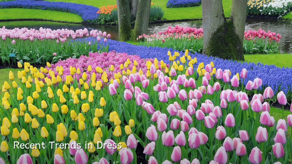 Recent Trends in Dress