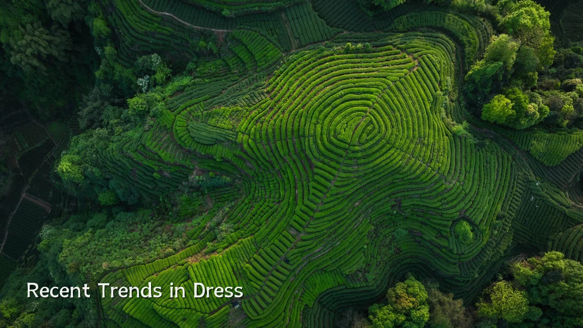 Recent Trends in Dress