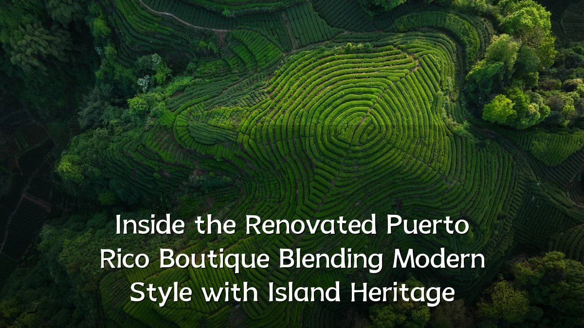 Inside the Renovated Puerto Rico Boutique Blending Modern Style with Island Heritage