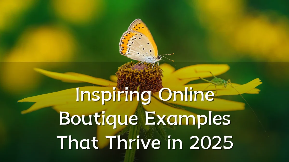 Inspiring Online Boutique Examples That Thrive in 2025
