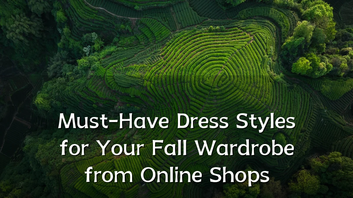 Must-Have Dress Styles for Your Fall Wardrobe from Online Shops
