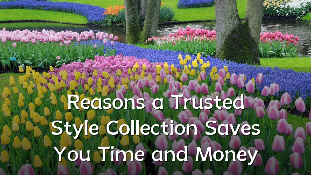 Reasons a Trusted Style Collection Saves You Time and Money