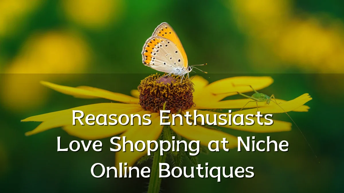 Reasons Enthusiasts Love Shopping at Niche Online Boutiques