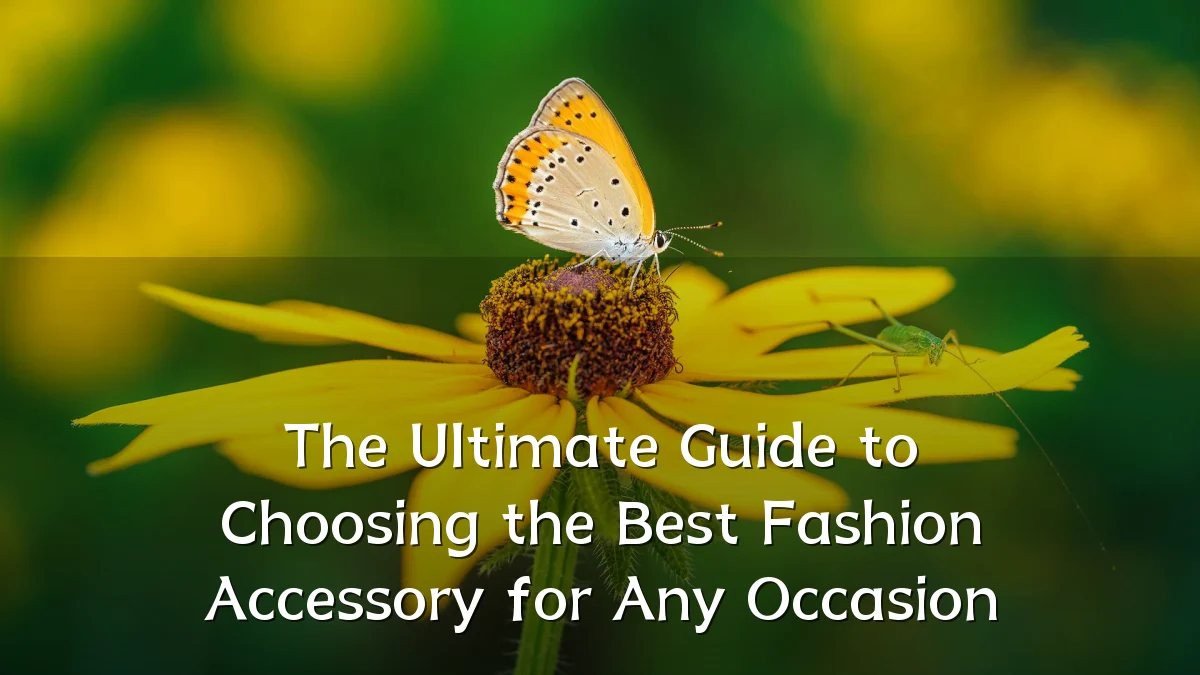 The Ultimate Guide to Choosing the Best Fashion Accessory for Any Occasion
