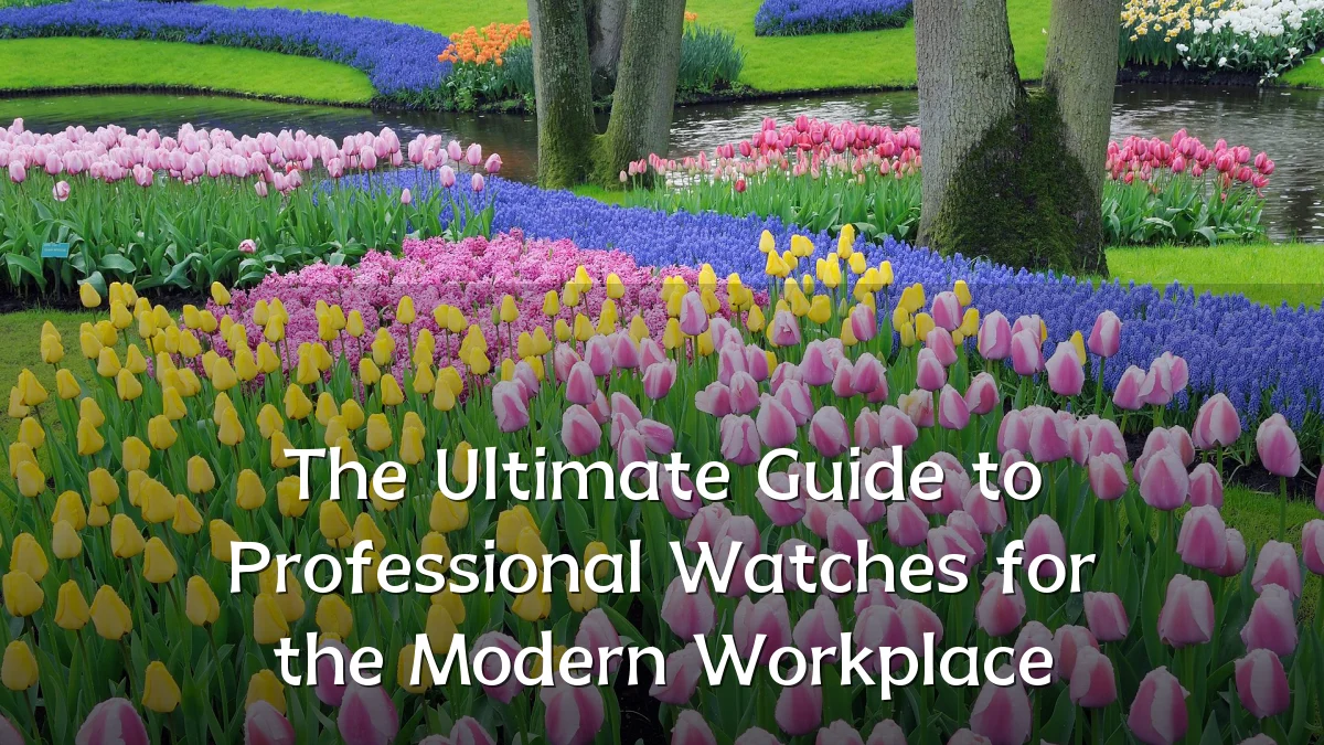 The Ultimate Guide to Professional Watches for the Modern Workplace