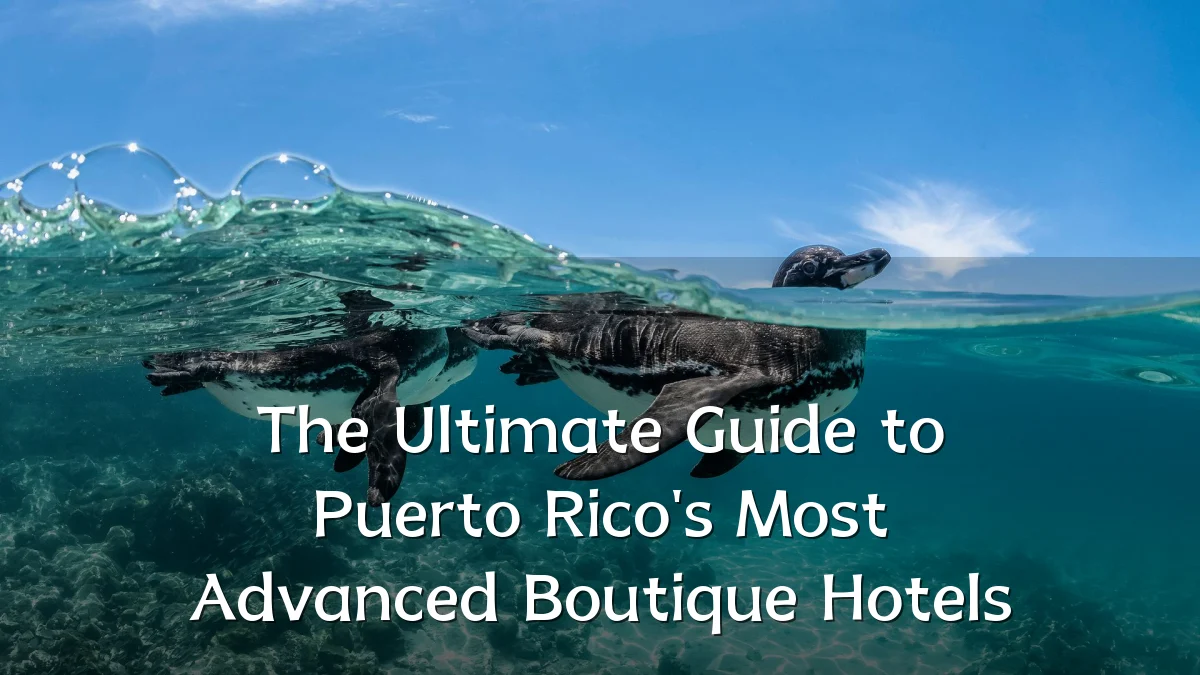 The Ultimate Guide to Puerto Rico's Most Advanced Boutique Hotels