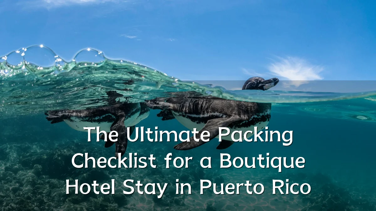 The Ultimate Packing Checklist for a Boutique Hotel Stay in Puerto Rico