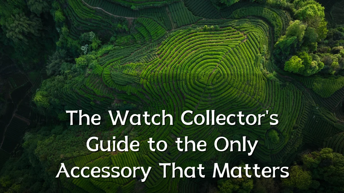 The Watch Collector's Guide to the Only Accessory That Matters
