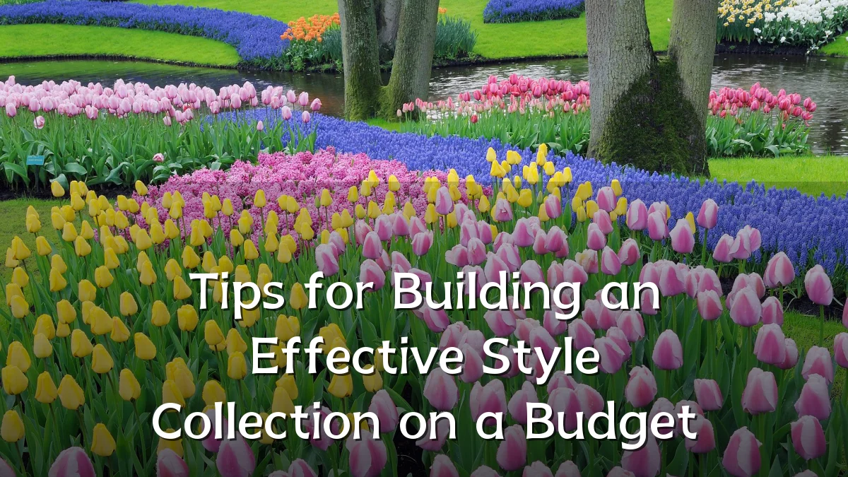 Tips for Building an Effective Style Collection on a Budget