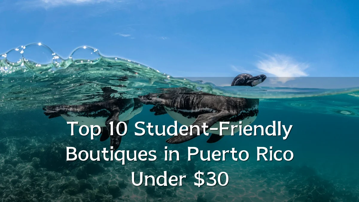 Top 10 Student-Friendly Boutiques in Puerto Rico Under $30