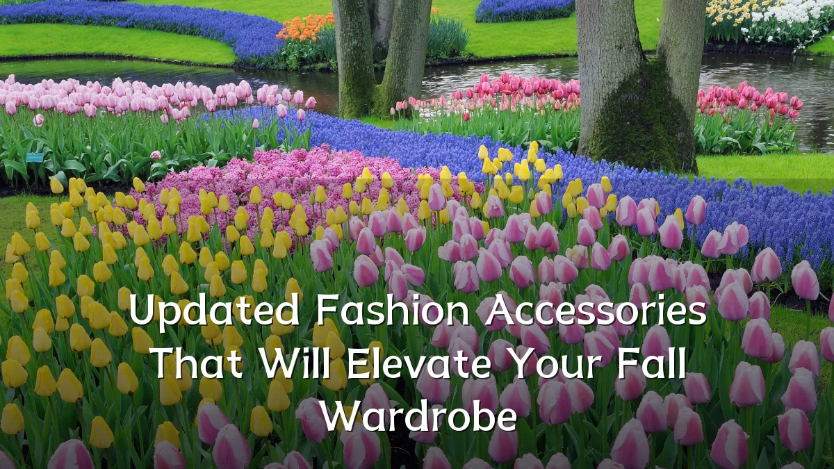 Updated Fashion Accessories That Will Elevate Your Fall Wardrobe