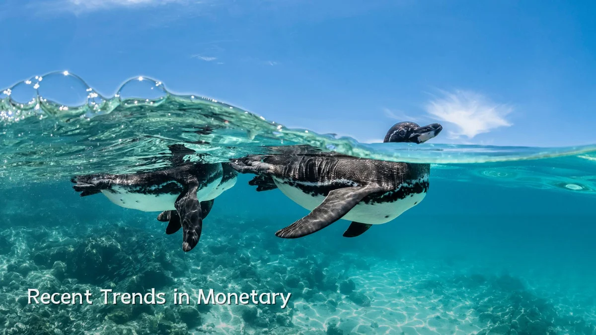 Recent Trends in Monetary