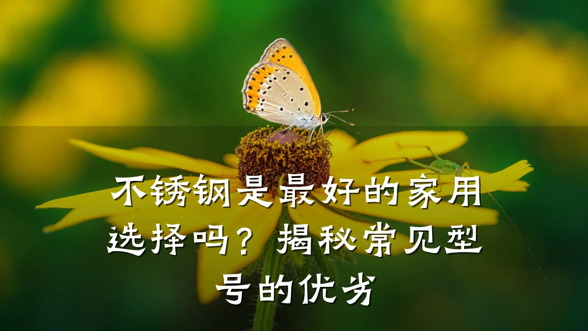 不锈钢是最好的家用选择吗？揭秘常见型号的优劣
